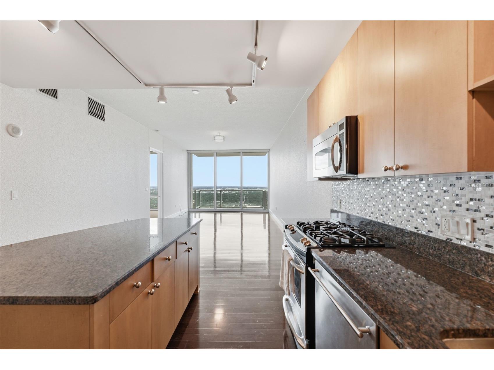 150 E Robinson Street #3409 Orlando FL 32801 O6413752 image16