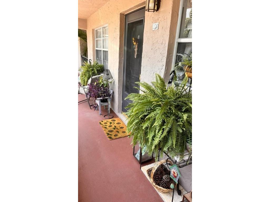 150 El Dorado #206 Winter Haven FL 33884 P4924924 image1