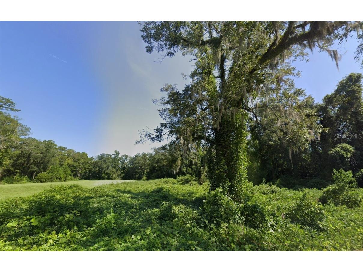 150 Georgia Street Monticello FL 32344 W7881835 image1
