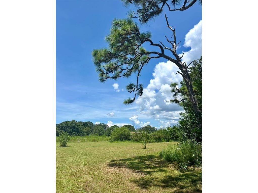 150 Grant Bass Road Kenansville FL 34739 O6339615 image2