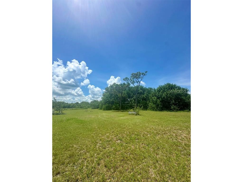 150 Grant Bass Road Kenansville FL 34739 O6339615 image3