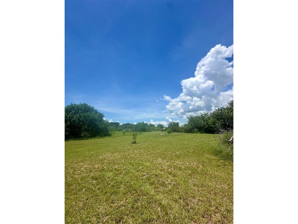 150 Grant Bass Road Kenansville FL 34739 O6339615 image4