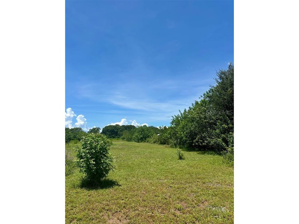 150 Grant Bass Road Kenansville FL 34739 O6339615 image5