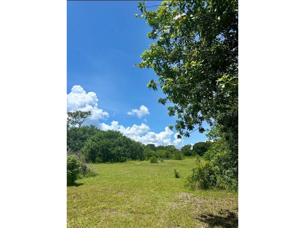 150 Grant Bass Road Kenansville FL 34739 O6339615 image6