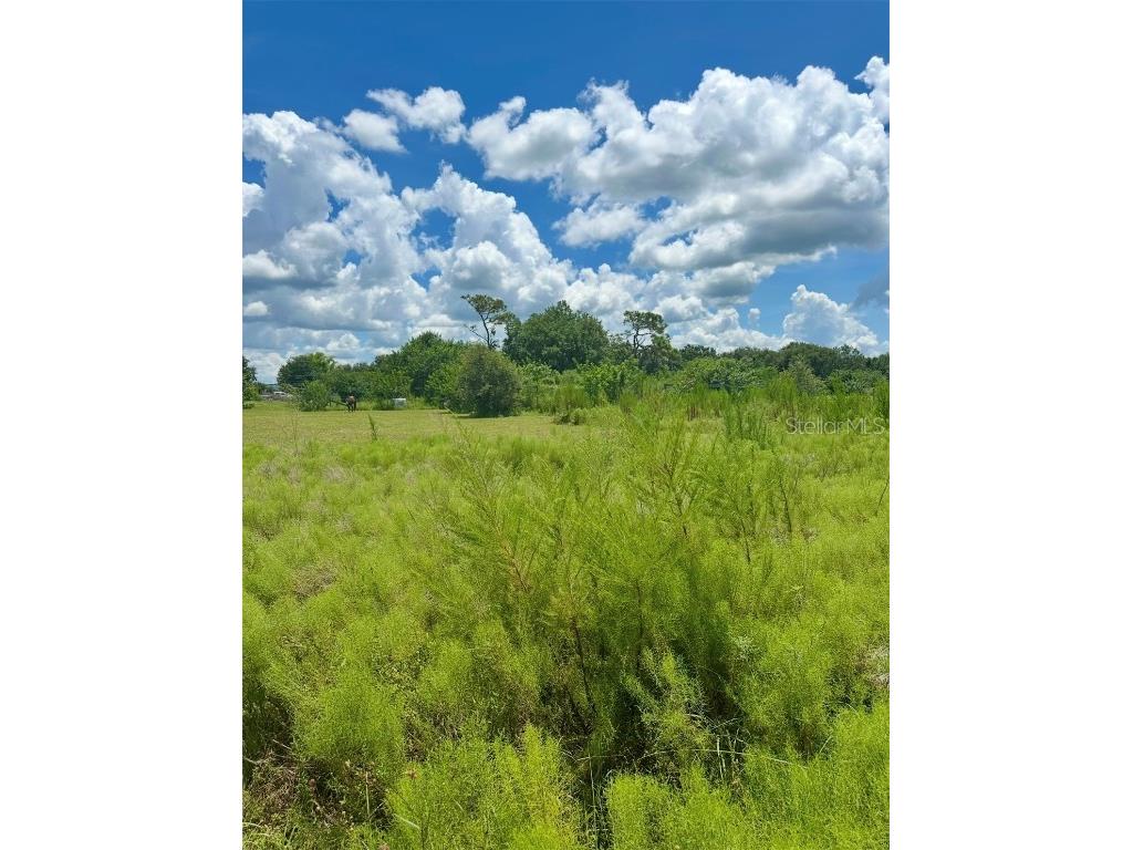 150 Grant Bass Road Kenansville FL 34739 O6339615 image7