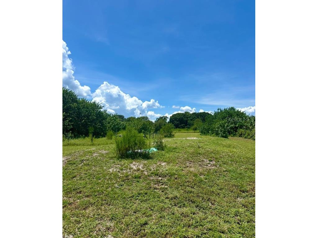 150 Grant Bass Road Kenansville FL 34739 O6339615 image8