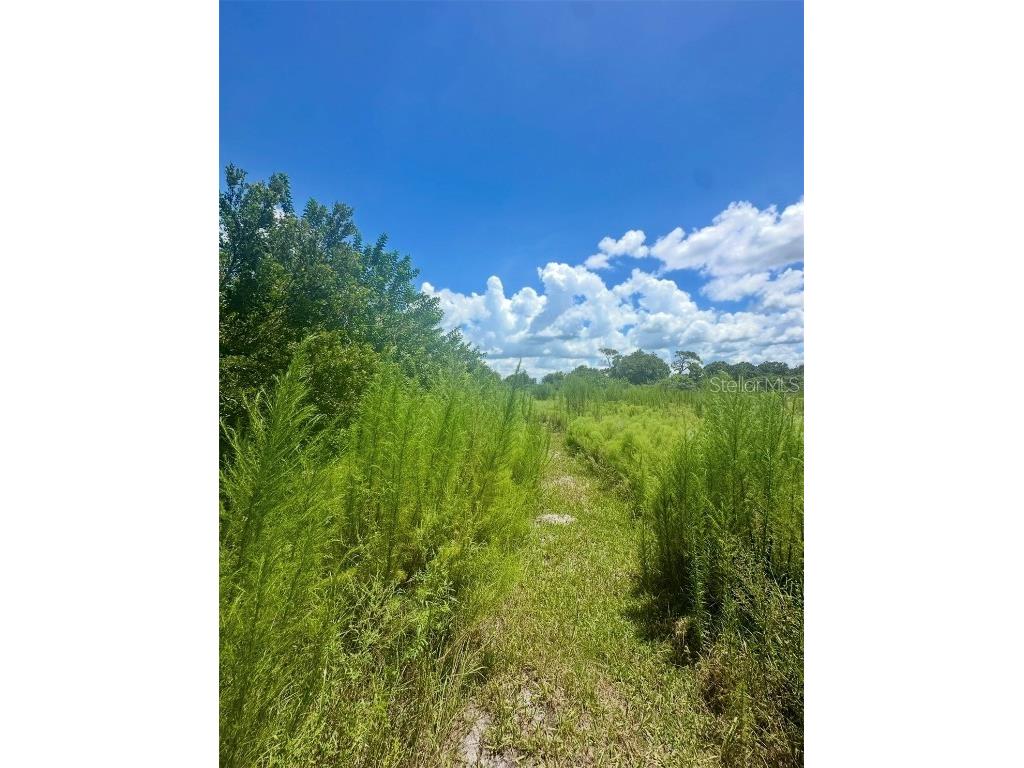 150 Grant Bass Road Kenansville FL 34739 O6339615 image9