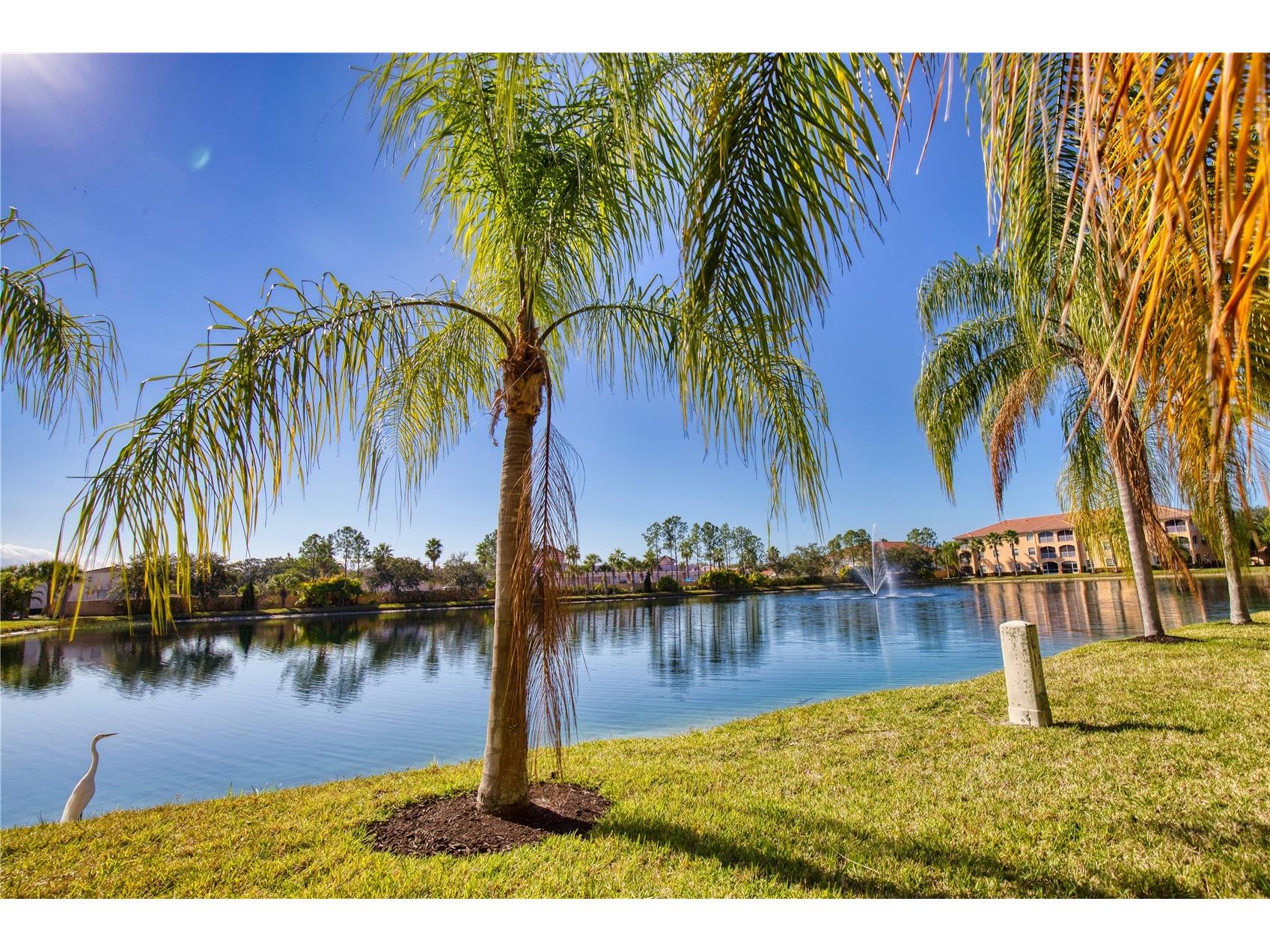 150 L Pavia Boulevard #32 Venice FL 34292 N6143283 image31