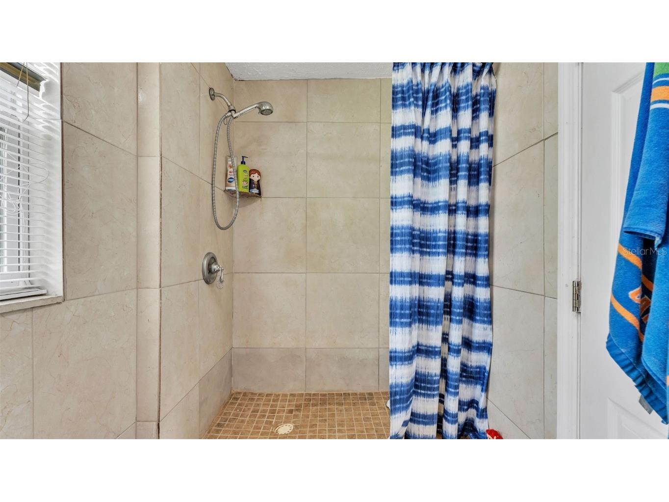 150 North Avenue Mulberry FL 33860 L4954189 image29