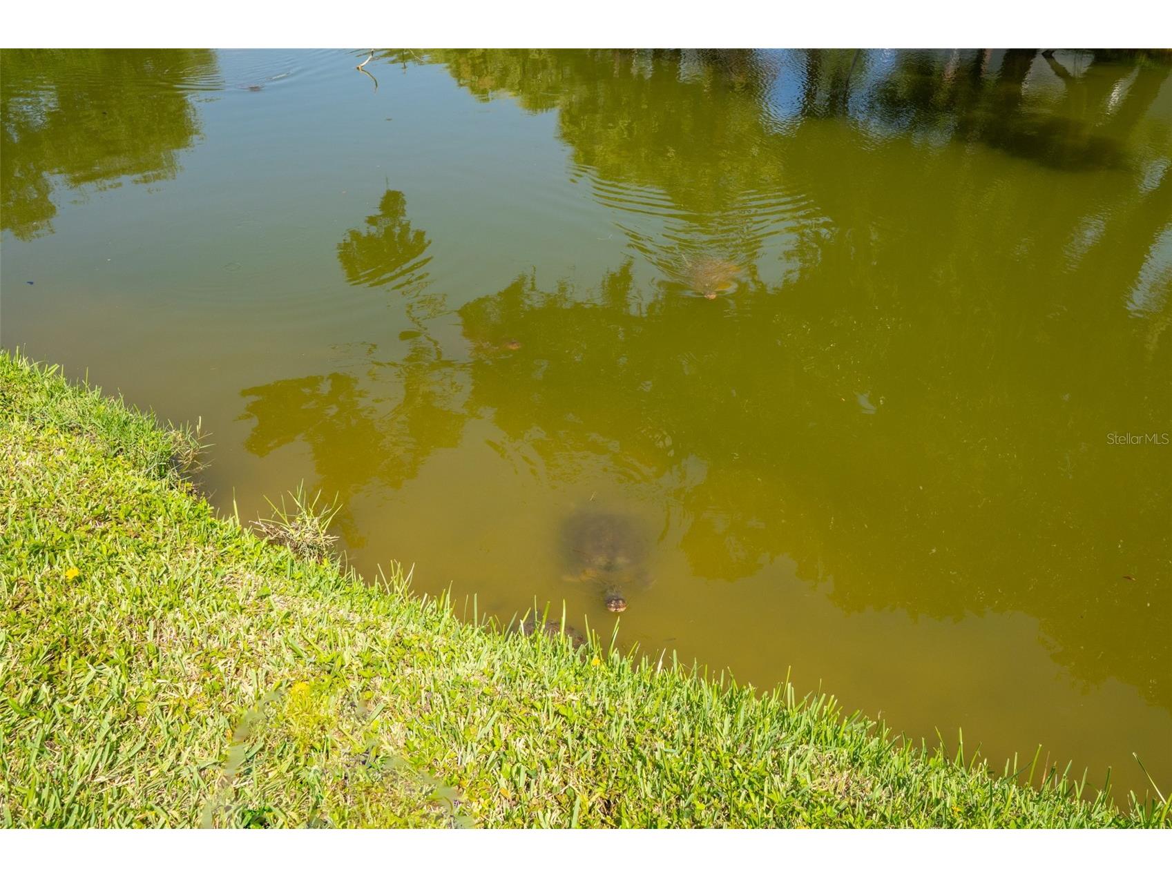 150 Portside Avenue #103 Cape Canaveral FL 32920 O6426172 image23