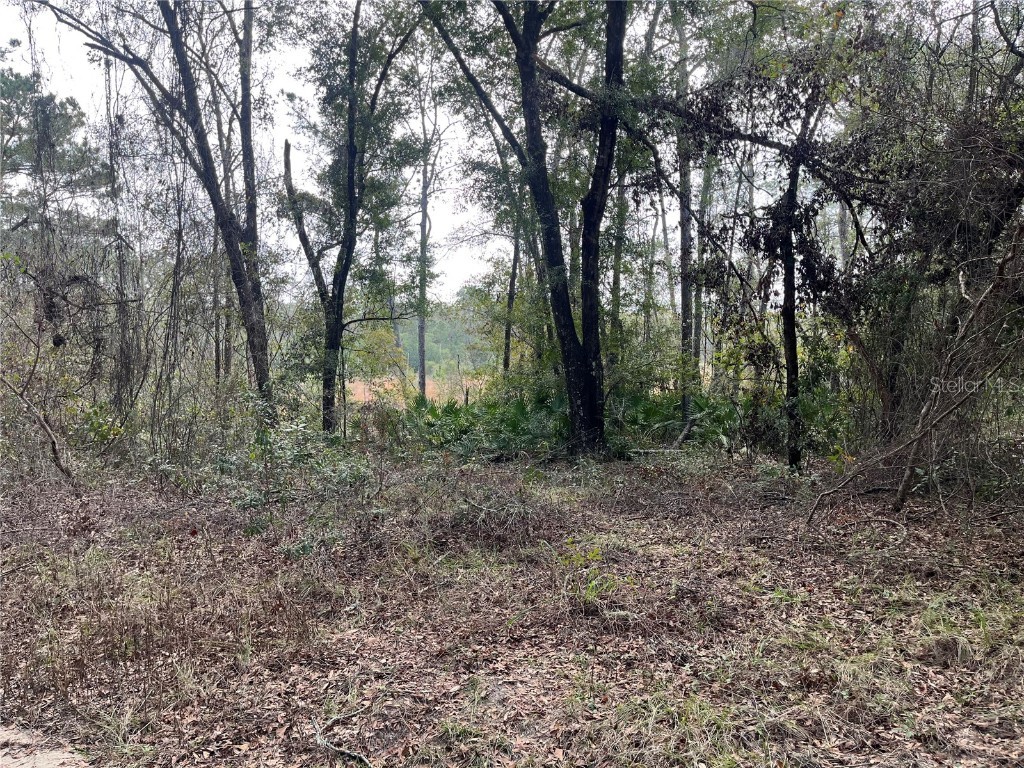 150 Quail Drive Interlachen FL 32148 OK224817 image1