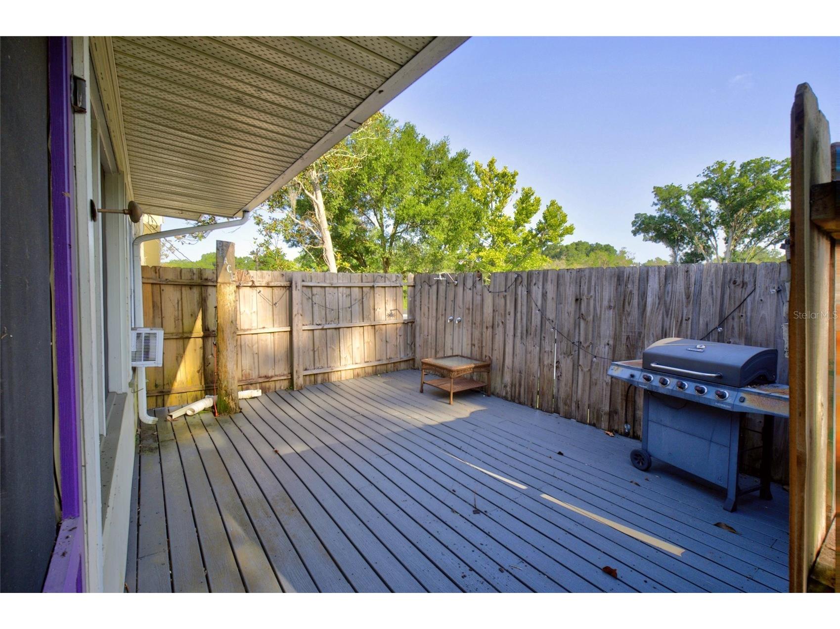 150 S Clayton Street Mount Dora FL 32757 S5152667 image25