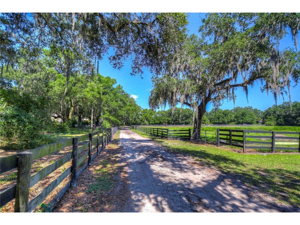 150 S Smokey Mountain Road Seffner FL 33584 T3529956 image1