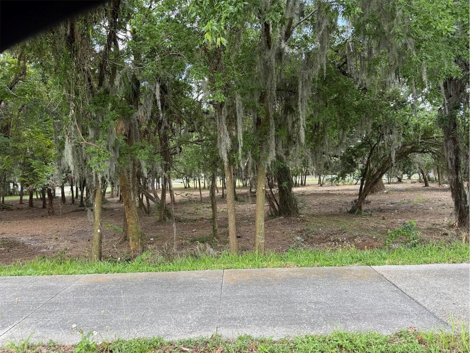 150 SE 17th Street #2 & 3 Ocala FL 34471 OM621639 image1