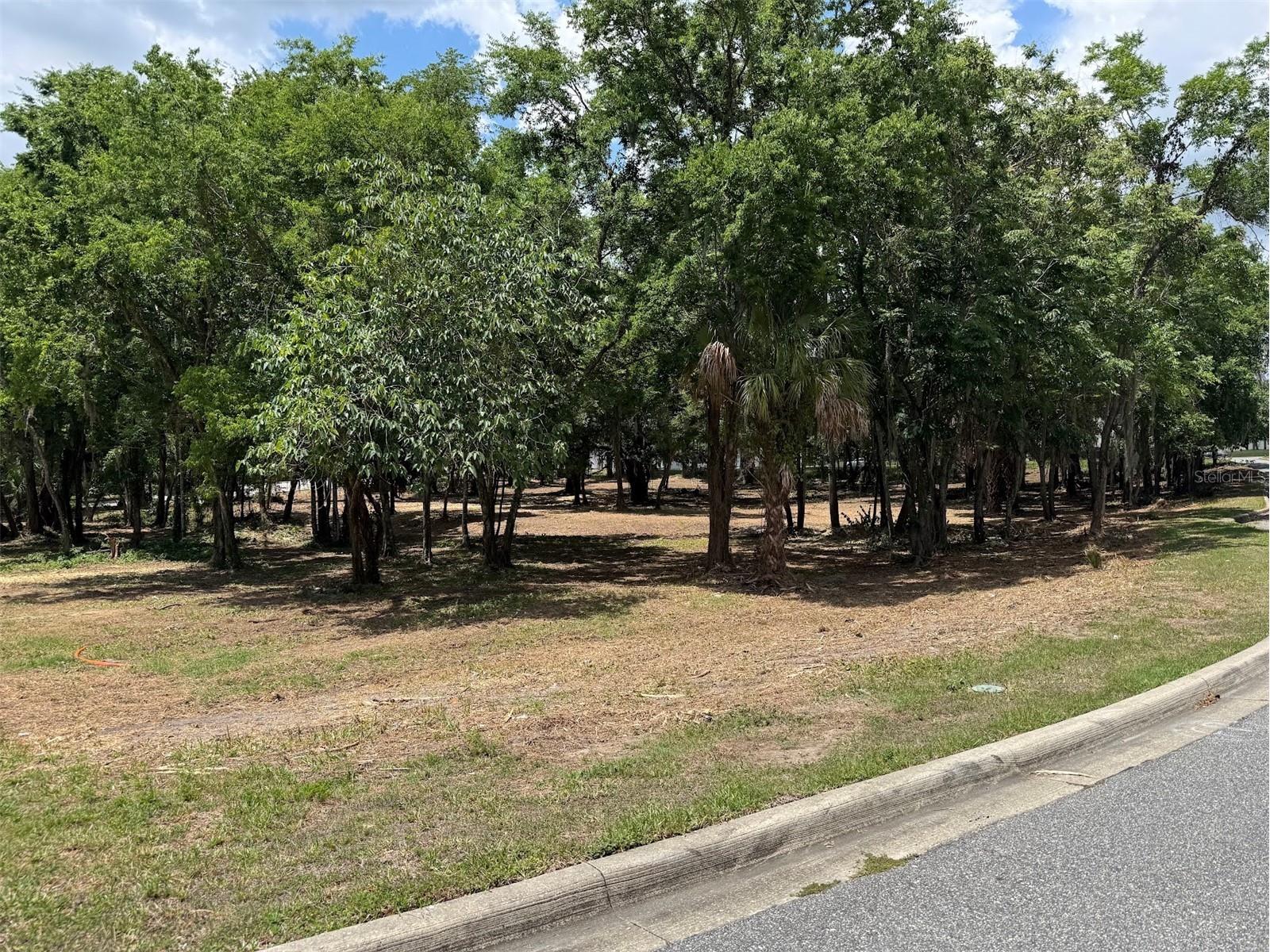 150 SE 17th Street #2 & 3 Ocala FL 34471 OM621639 image10