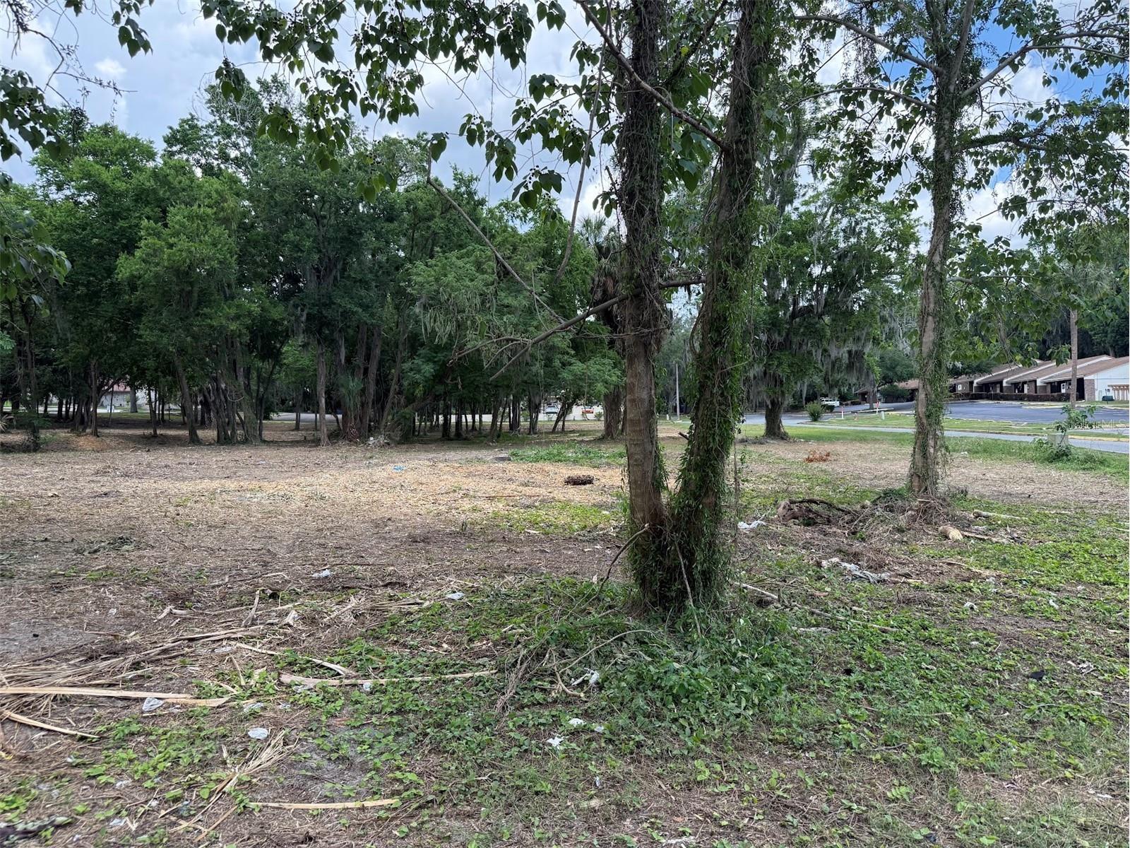 150 SE 17th Street #2 & 3 Ocala FL 34471 OM621639 image11