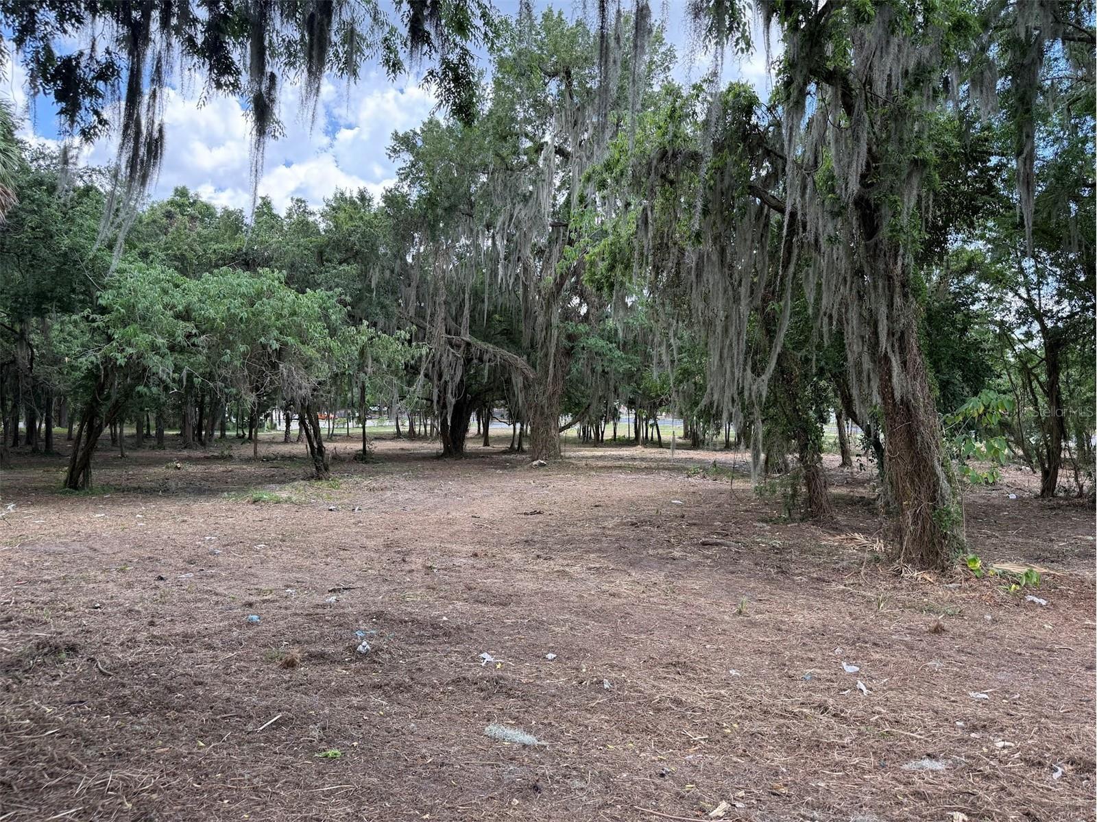 150 SE 17th Street #2 & 3 Ocala FL 34471 OM621639 image2