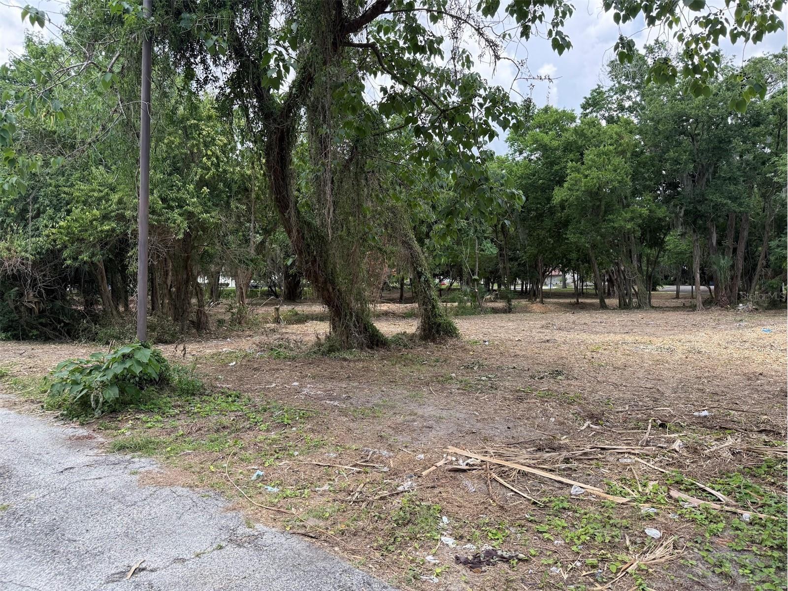 150 SE 17th Street #2 & 3 Ocala FL 34471 OM621639 image4