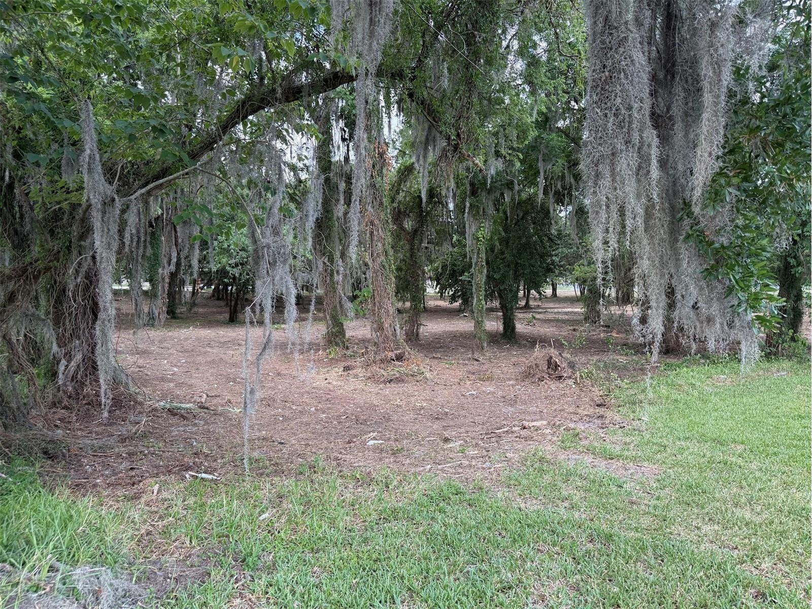 150 SE 17th Street #2 & 3 Ocala FL 34471 OM621639 image5