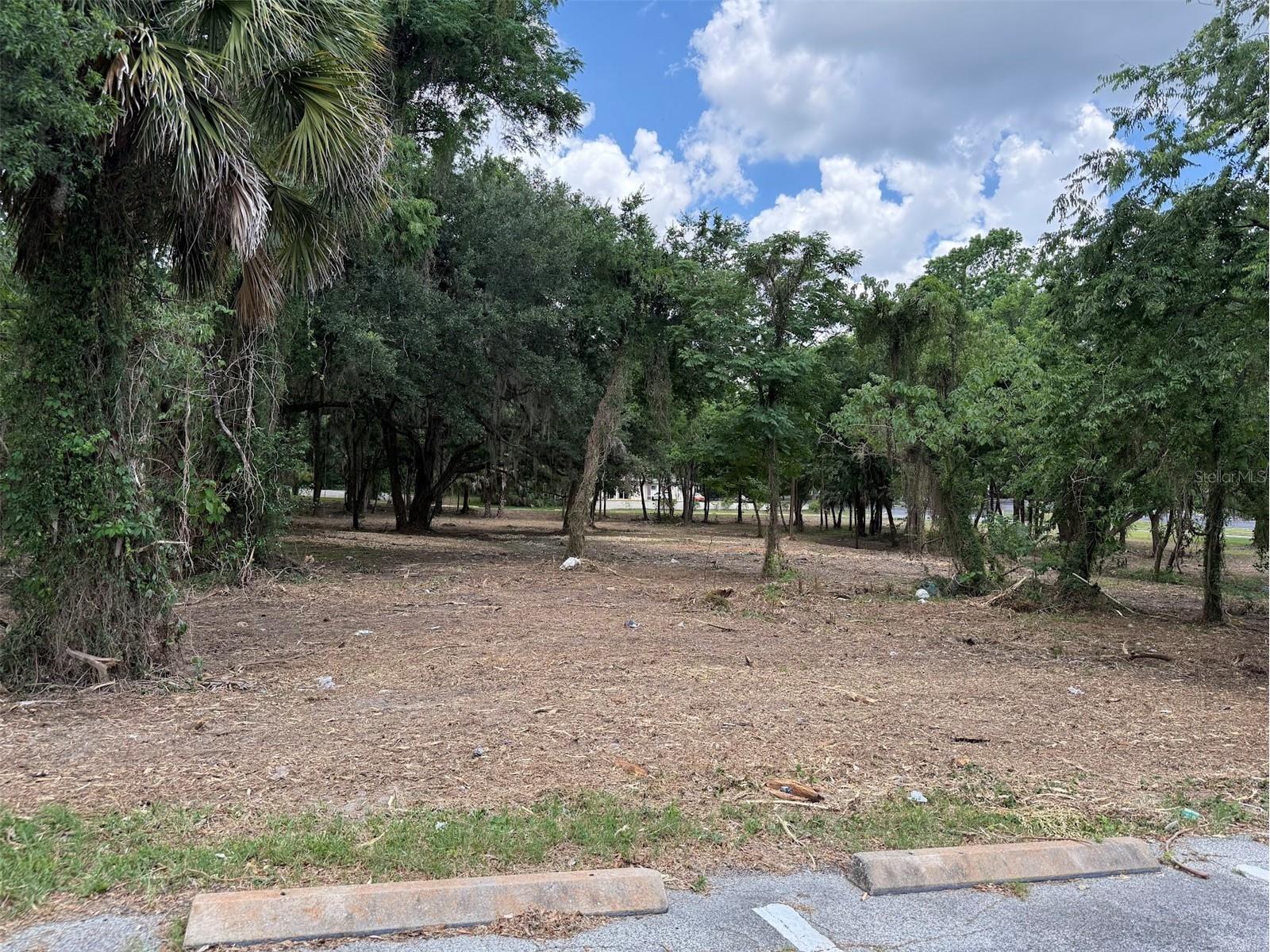 150 SE 17th Street #2 & 3 Ocala FL 34471 OM621639 image6
