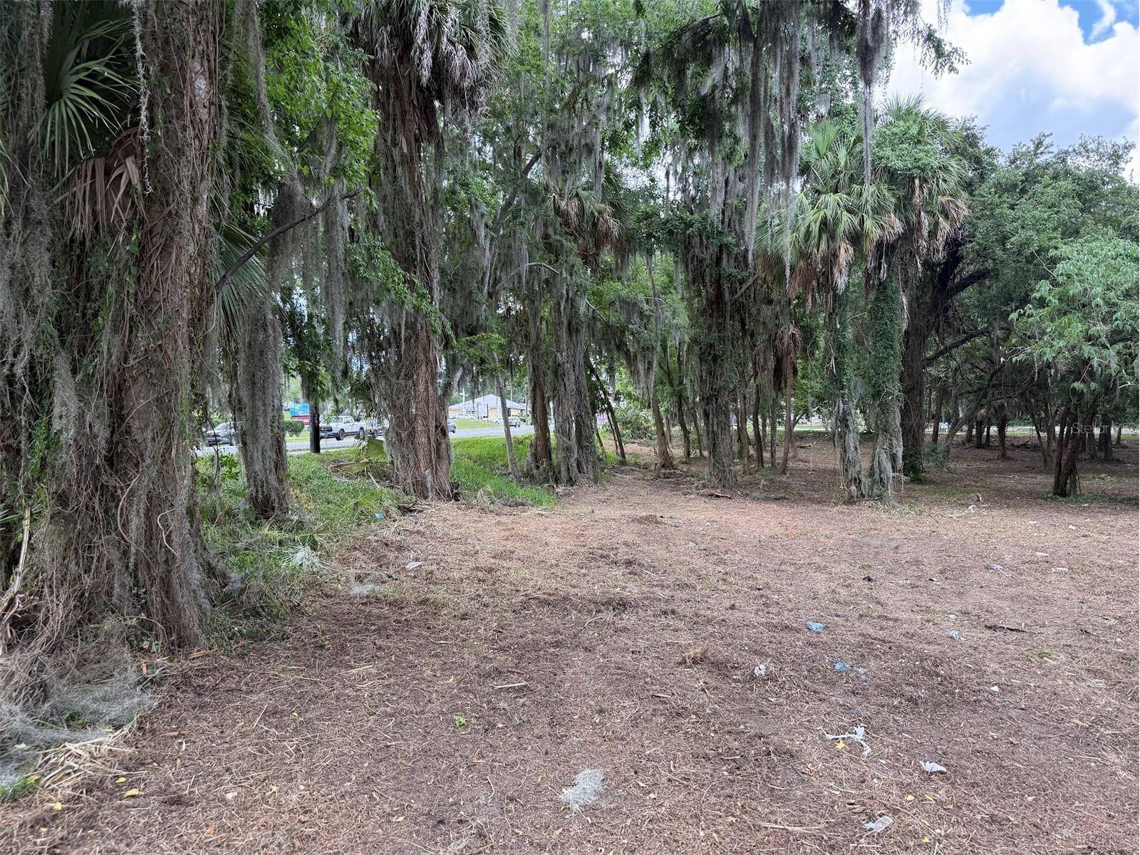 150 SE 17th Street #2 & 3 Ocala FL 34471 OM621639 image7