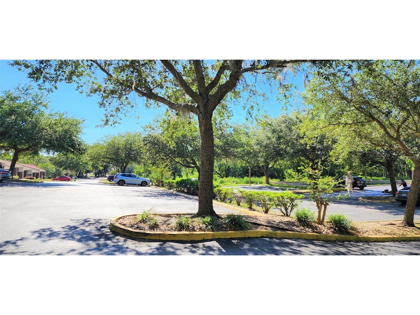 150 SE 17th Street #603 Ocala FL 34471 OM725117 image9