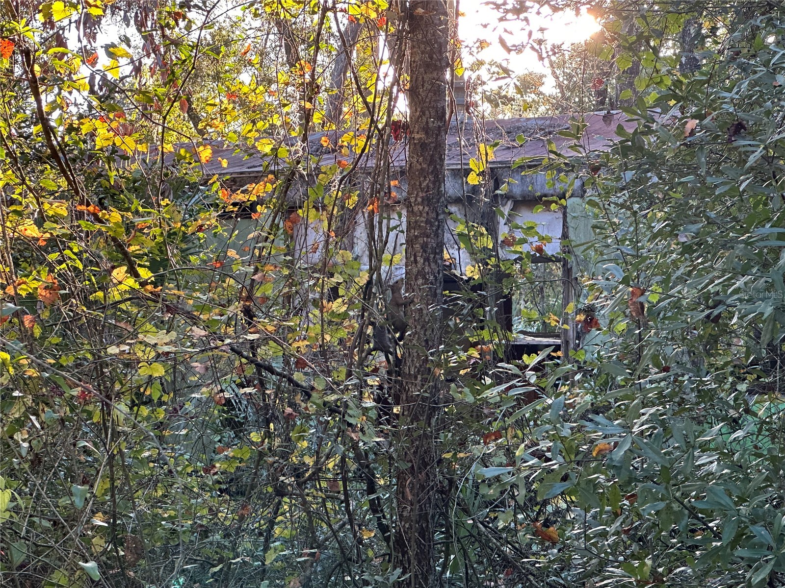 150 SE 926th Street Old Town FL 32680 GC535283 image1