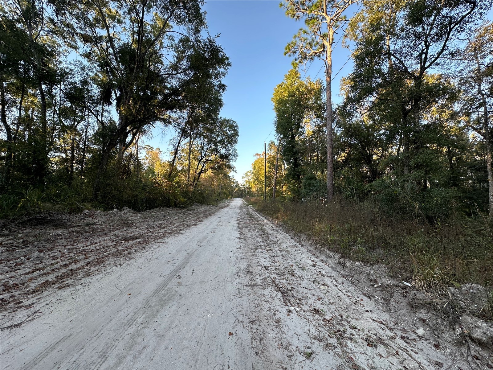 150 SE 926th Street Old Town FL 32680 GC535283 image2