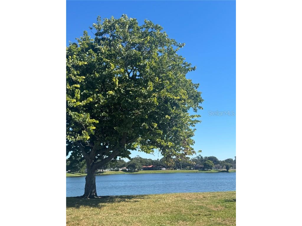 1500 39th Street N Saint Petersburg FL 33713 TB8445872 image48