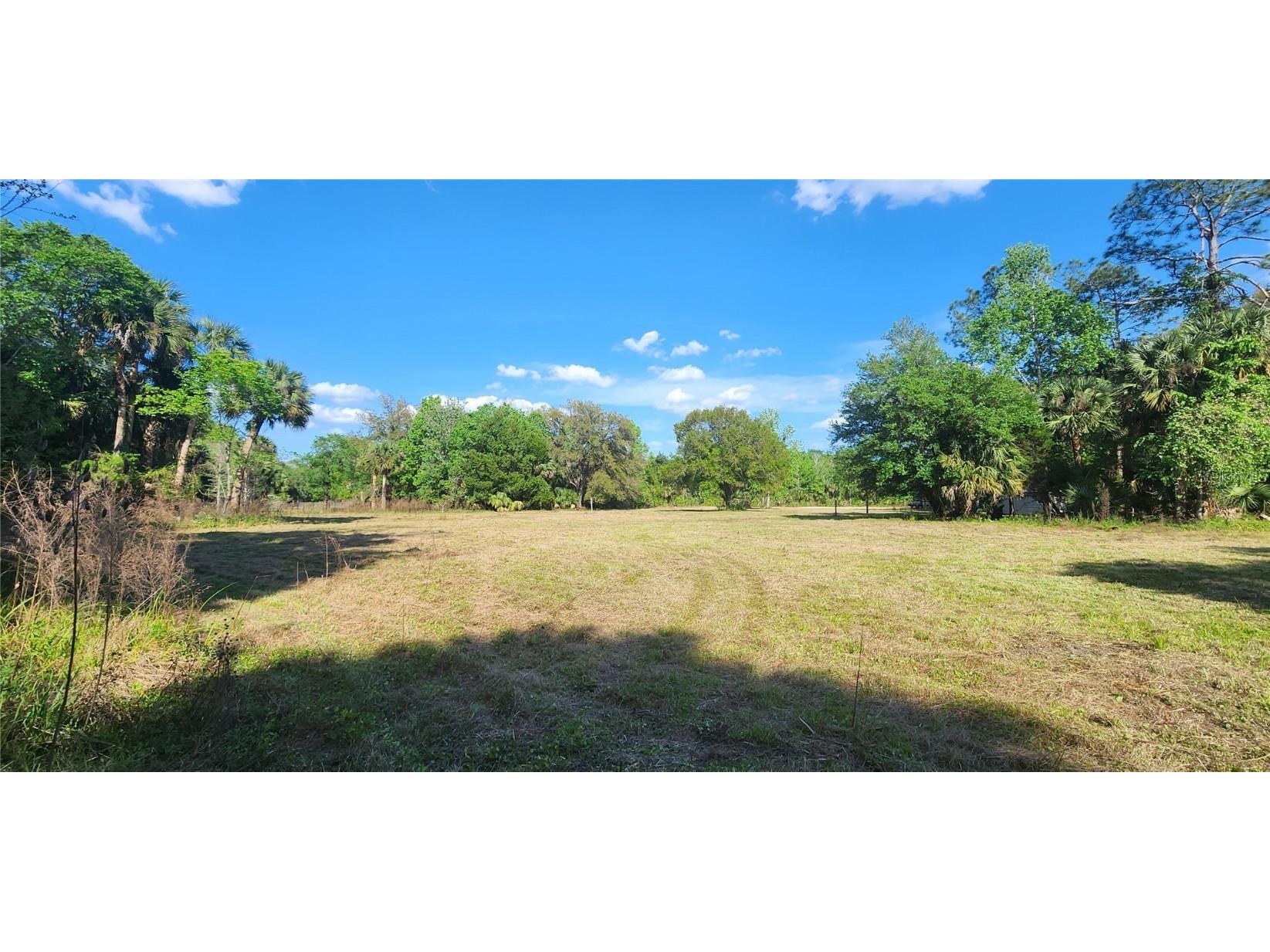 1500 Buck Lake Road Osteen FL 32764 - LAKE ASHBY CANAL O6187592 image1