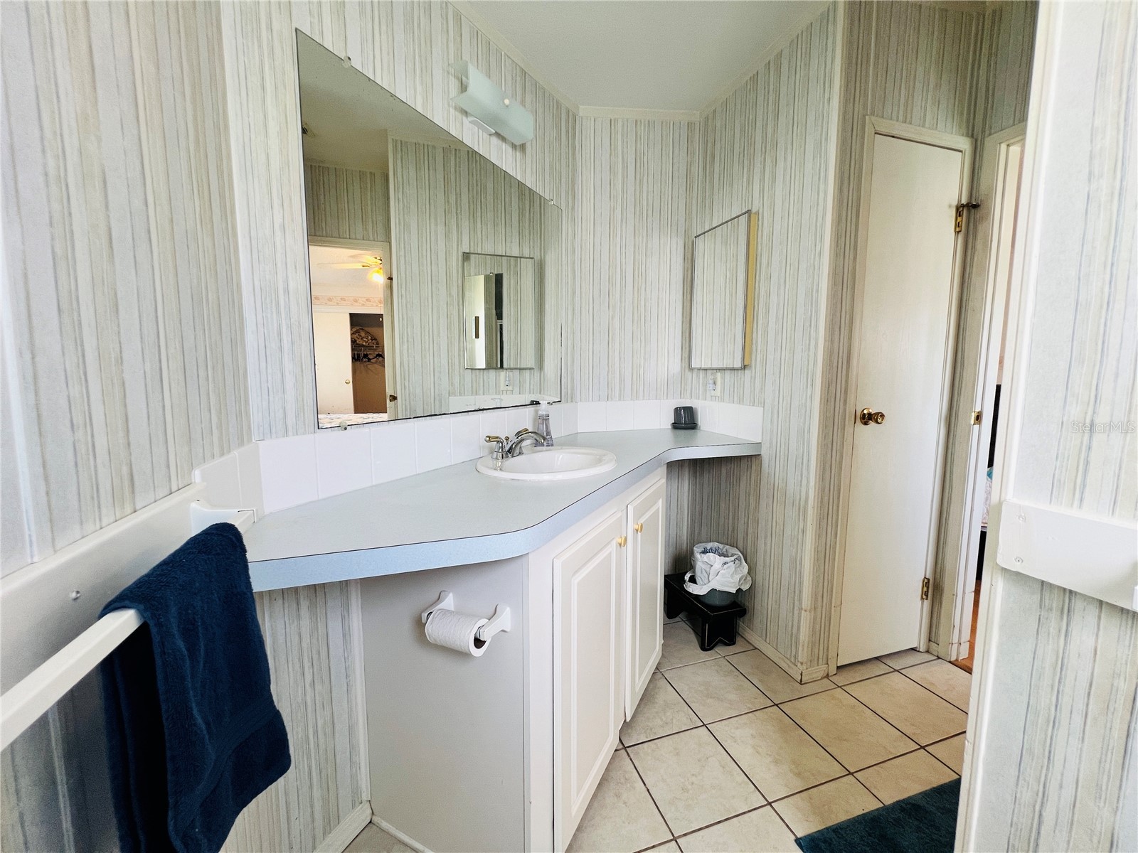 1500 County Road 1 #124 Dunedin FL 34698 TB8484052 image28
