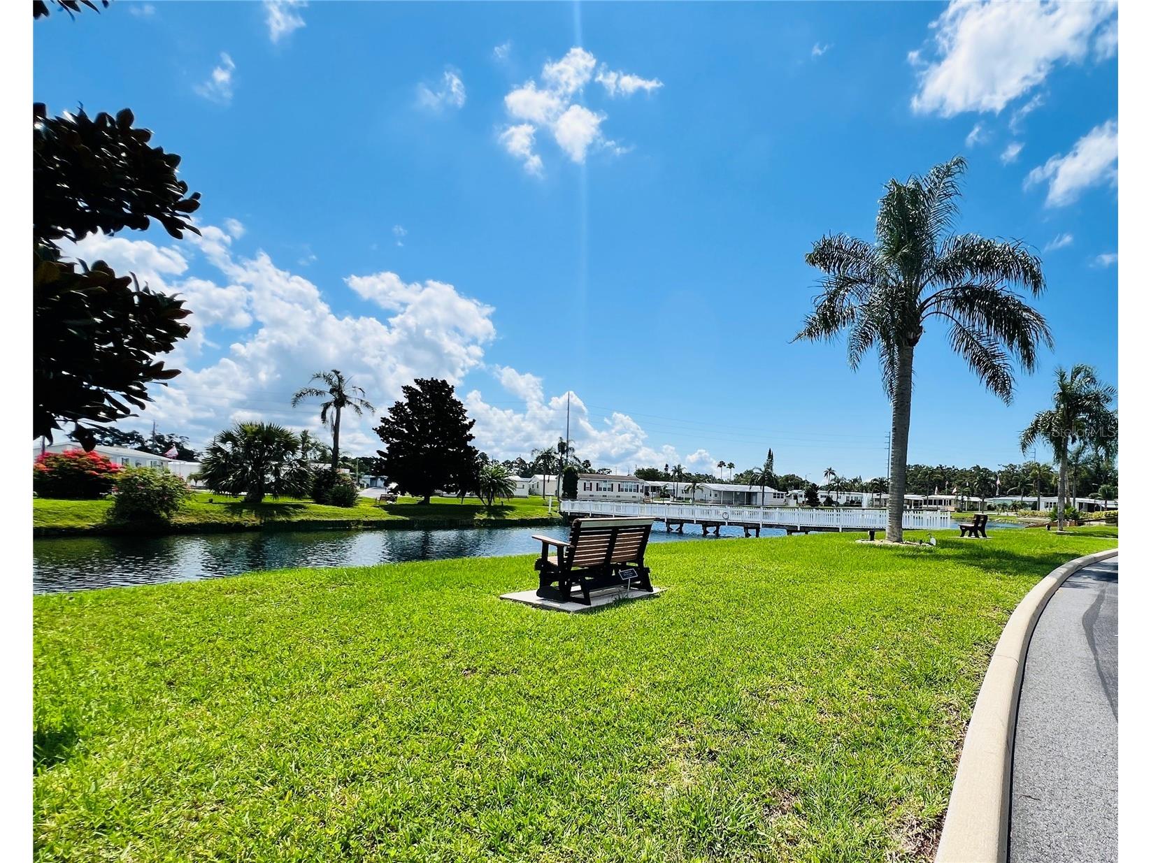 1500 County Road 1 #124 Dunedin FL 34698 TB8484052 image34