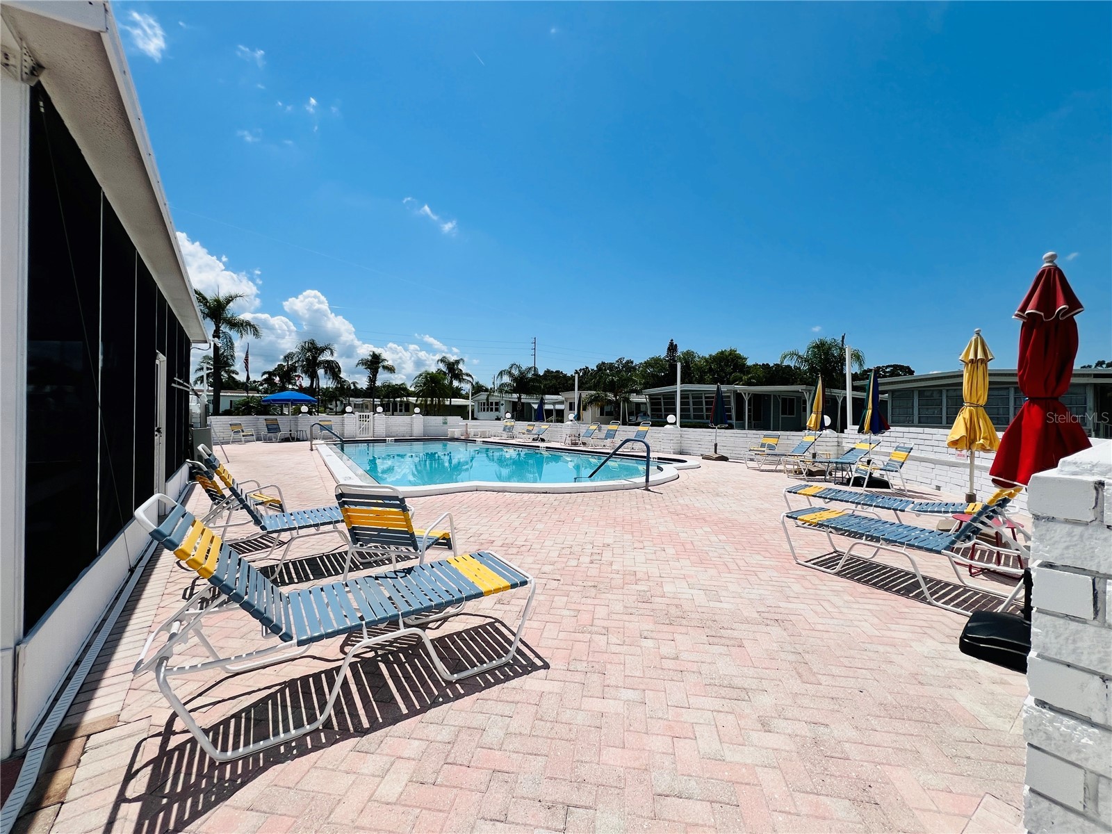 1500 County Road 1 #124 Dunedin FL 34698 TB8484052 image38
