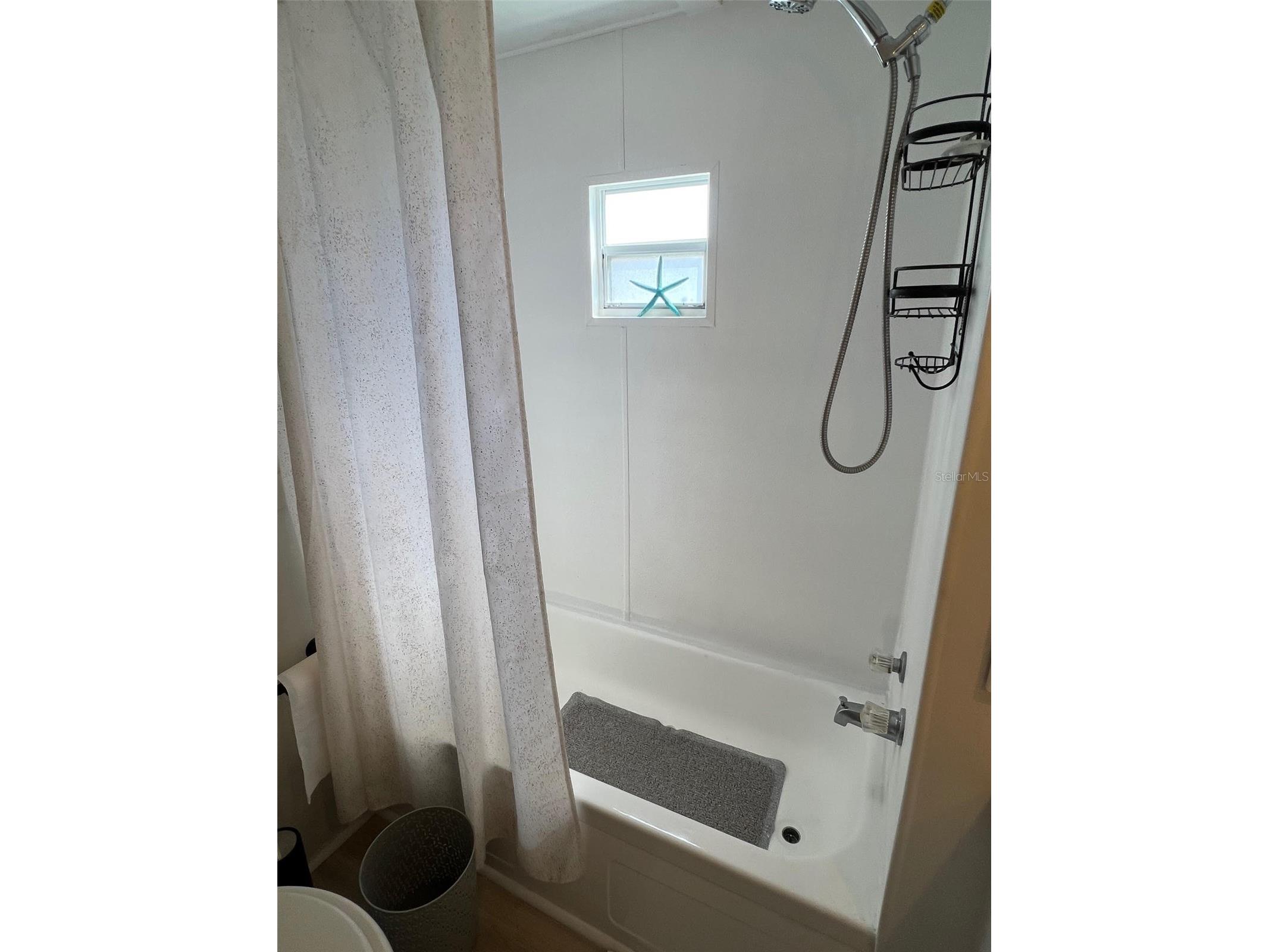 1500 County Road 1 #22 Dunedin FL 34698 TB8493171 image24