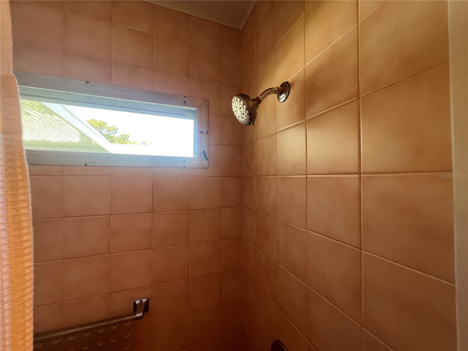 1500 County Road 1 #39 Dunedin FL 34698 TB8488522 image14