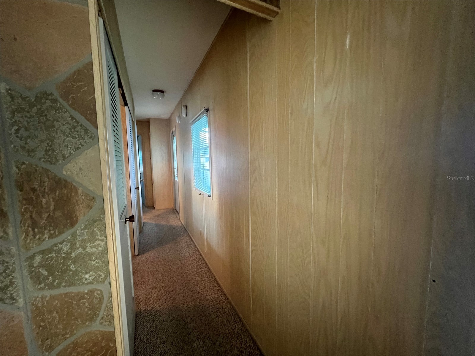 1500 County Road 1 #44 Dunedin FL 34698 TB8481078 image11