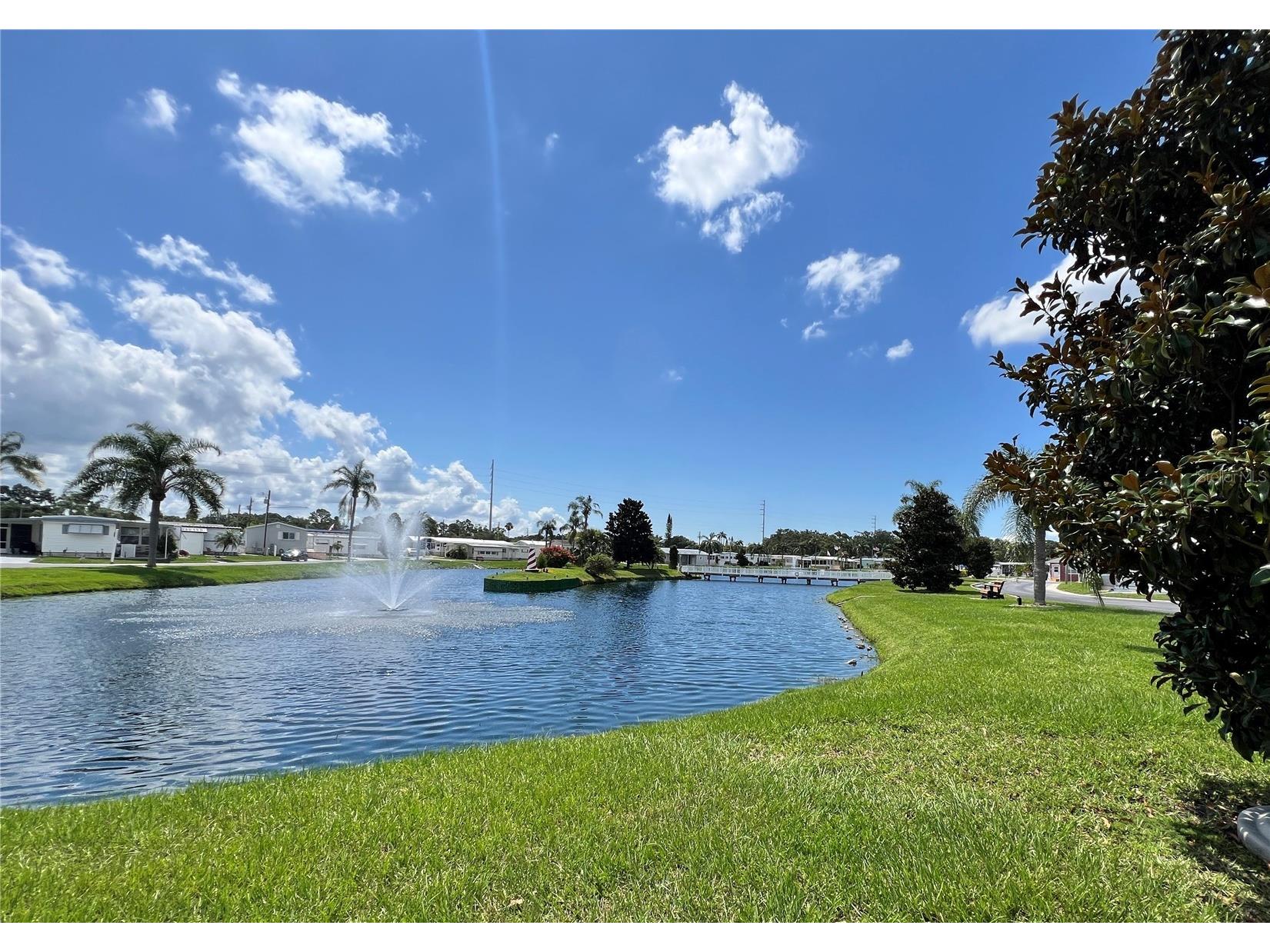1500 County Road 1 #44 Dunedin FL 34698 TB8481078 image25