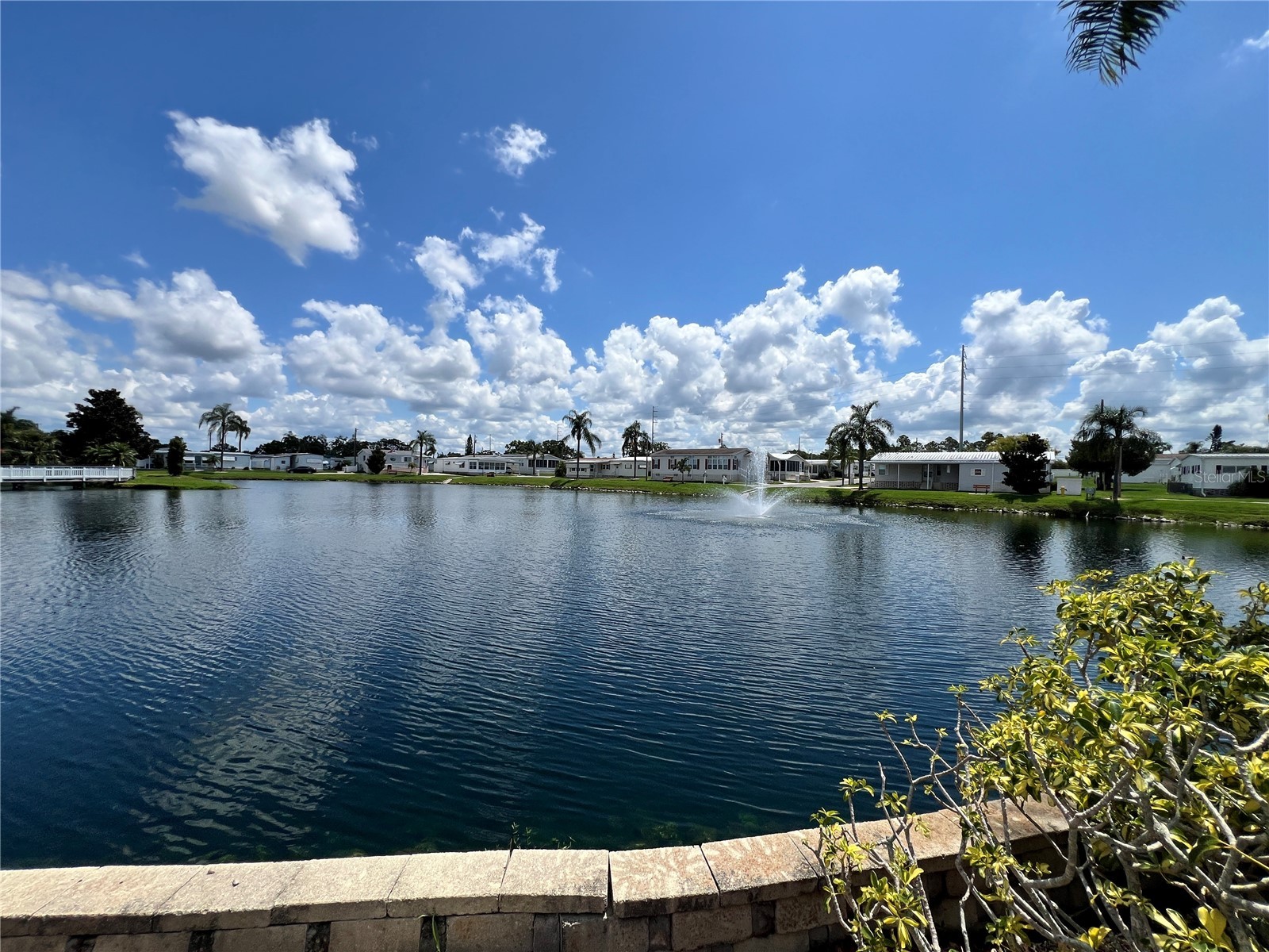 1500 County Road 1 #44 Dunedin FL 34698 TB8481078 image30