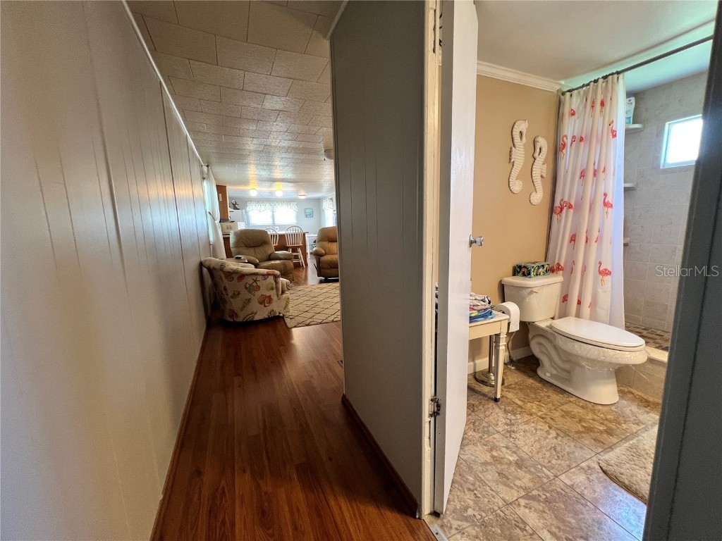 1500 County Road 1 #51 Dunedin FL 34698 TB8434249 image21