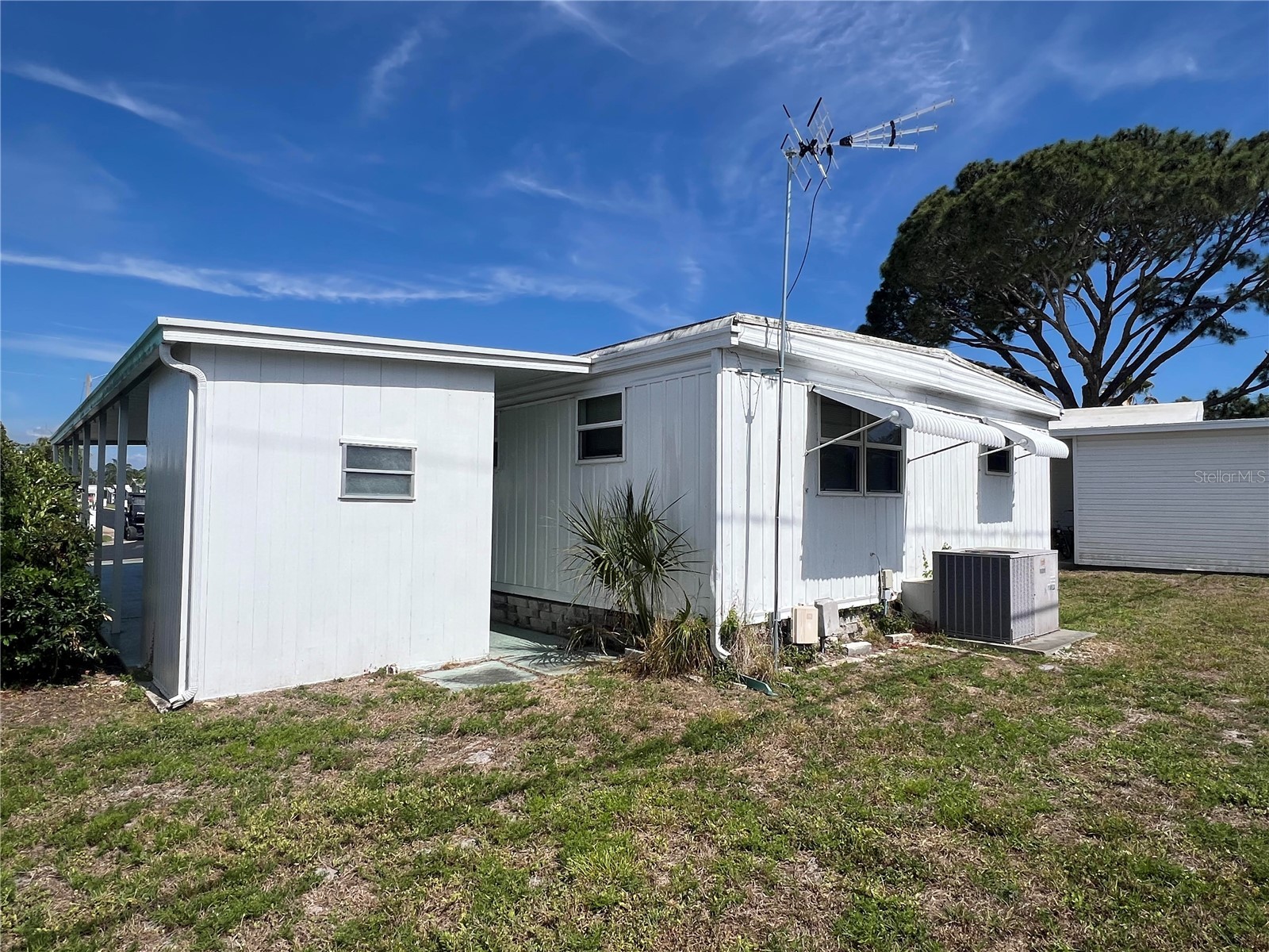 1500 County Road 1 #95 Dunedin FL 34698 TB8509443 image4