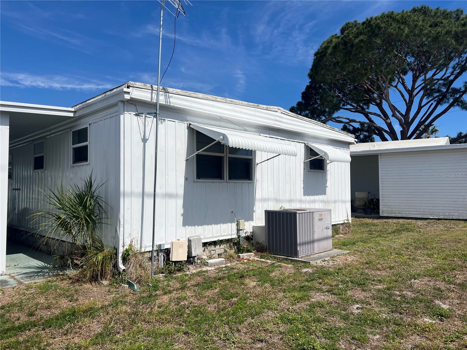 1500 County Road 1 #95 Dunedin FL 34698 TB8509443 image5