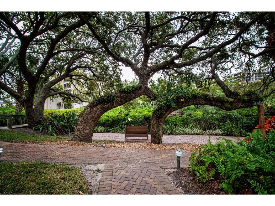 1500 Cove Ii Place #524 Sarasota FL 34242 A4676444 image57