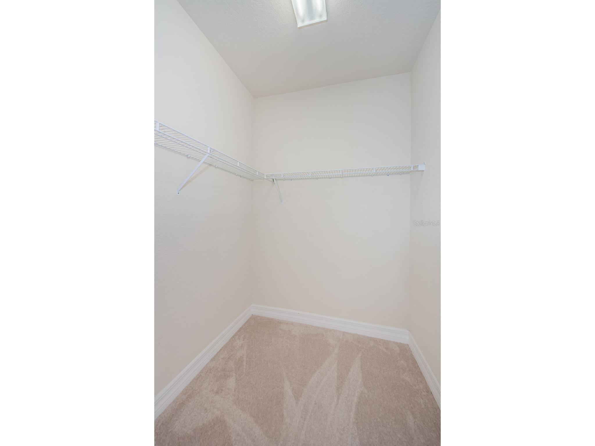 1500 Ember Lane Tarpon Springs FL 34689 U8229901 image24