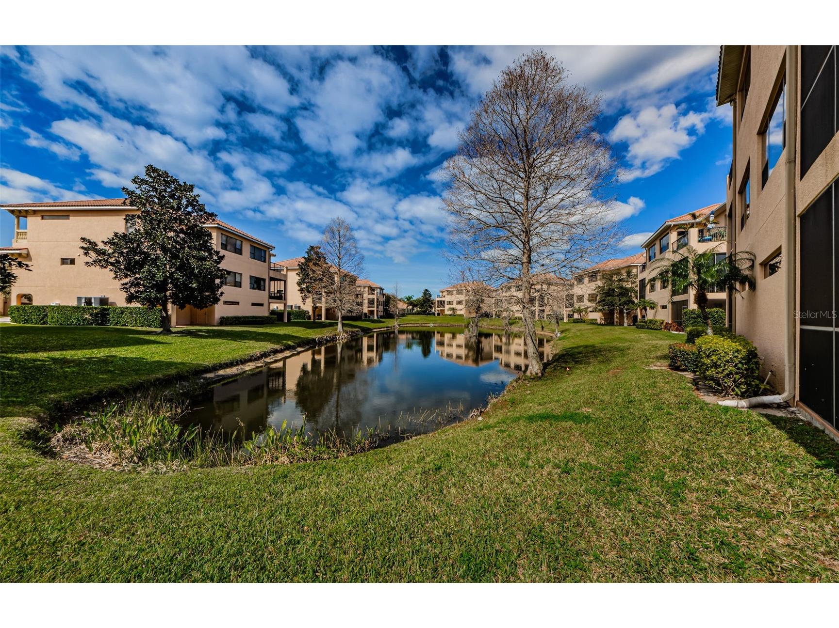 1500 Ember Lane Tarpon Springs FL 34689 U8229901 image36