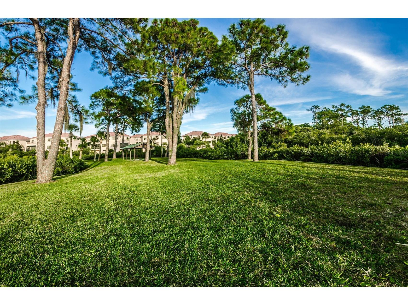 1500 Ember Lane Tarpon Springs FL 34689 U8229901 image44