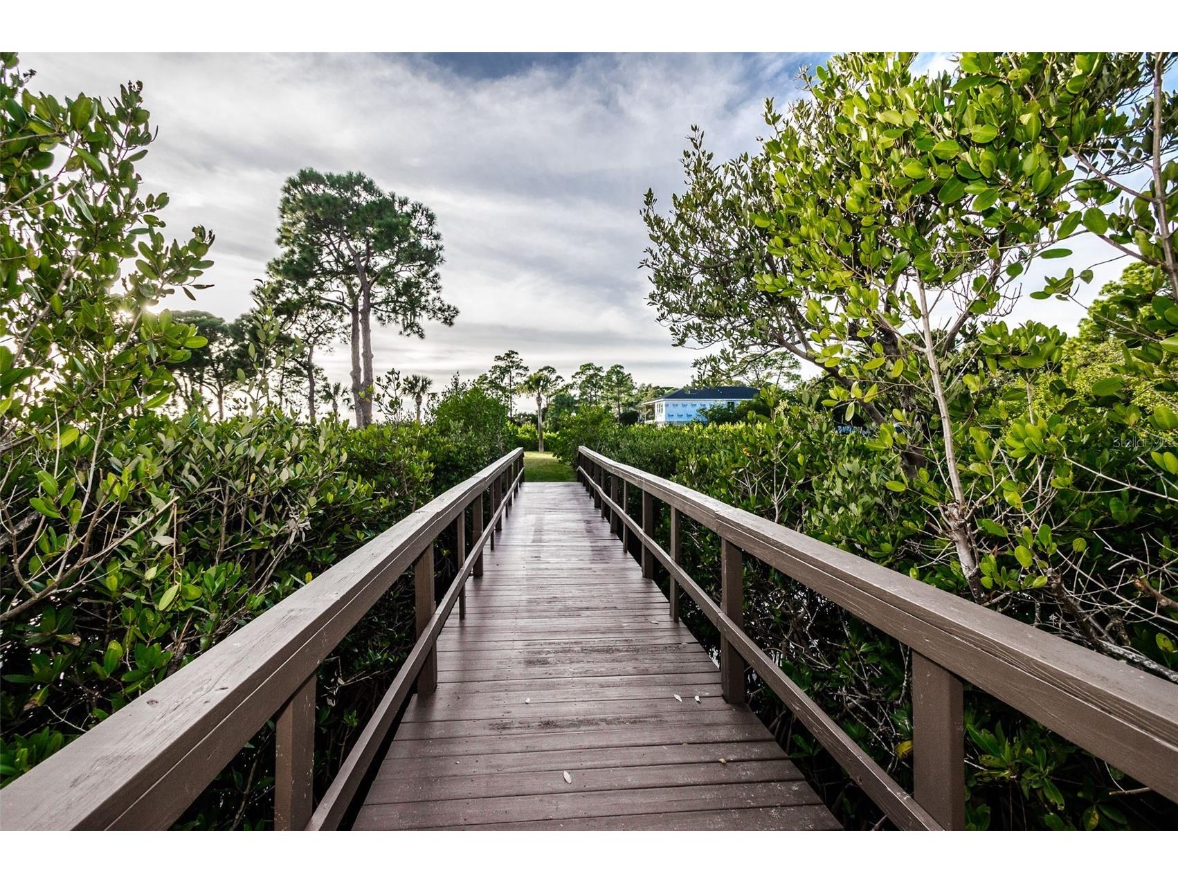 1500 Ember Lane Tarpon Springs FL 34689 U8229901 image49