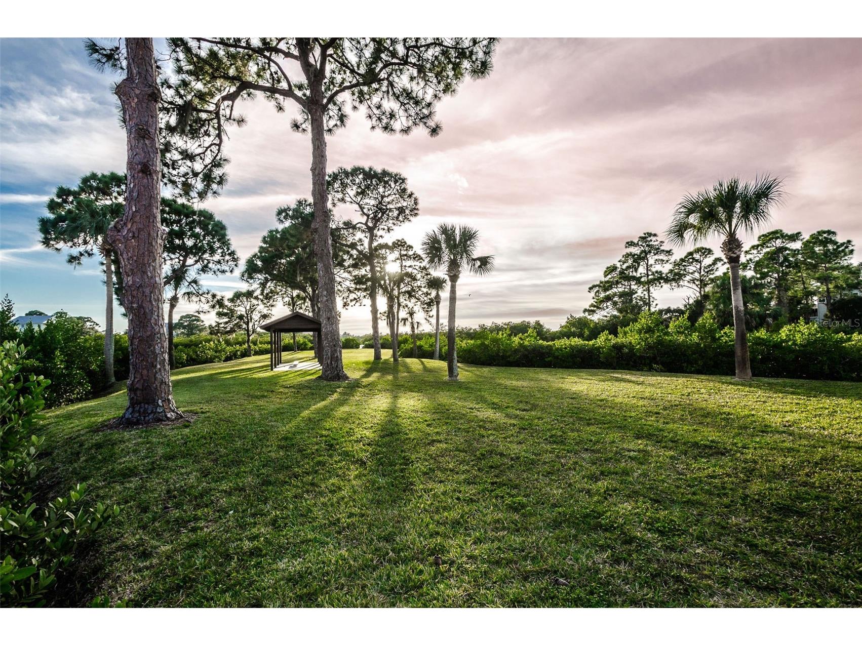 1500 Ember Lane Tarpon Springs FL 34689 U8229901 image50