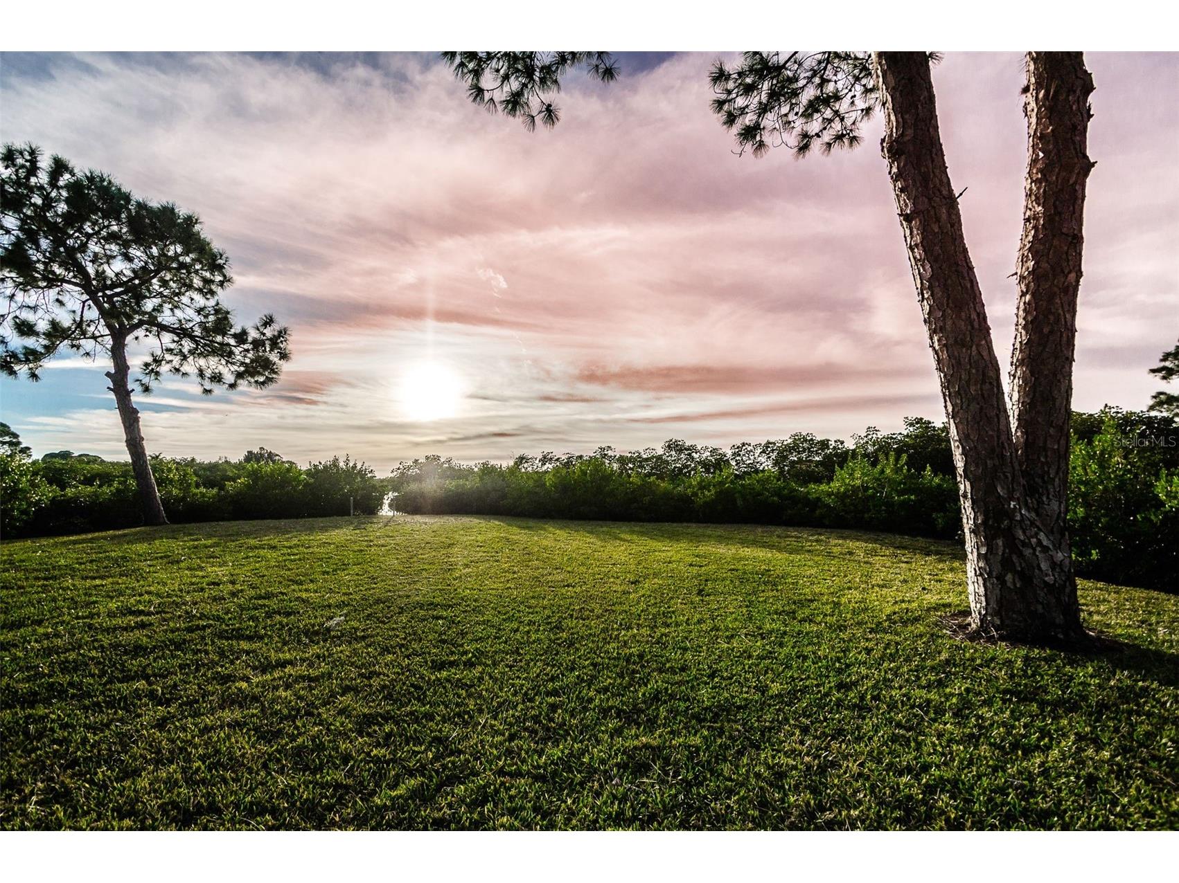 1500 Ember Lane Tarpon Springs FL 34689 U8229901 image52