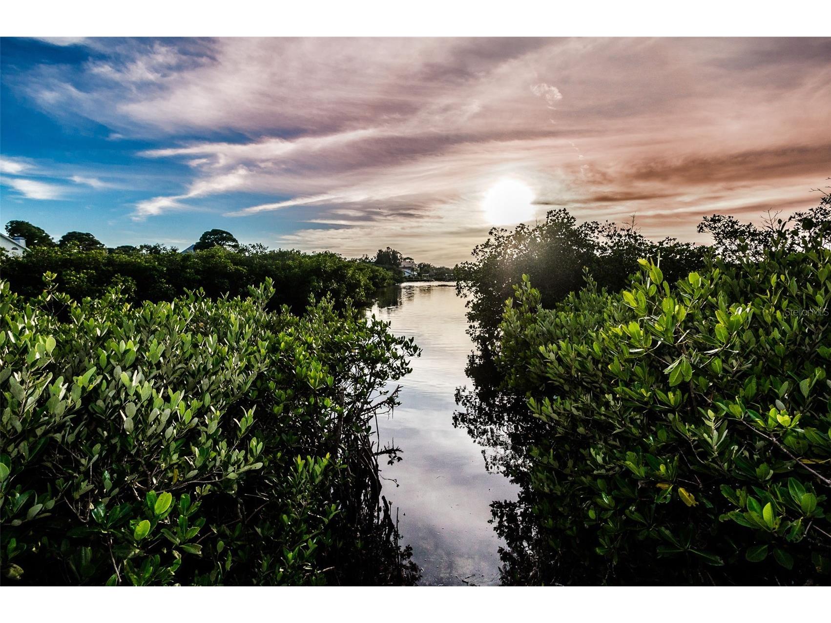 1500 Ember Lane Tarpon Springs FL 34689 U8229901 image53