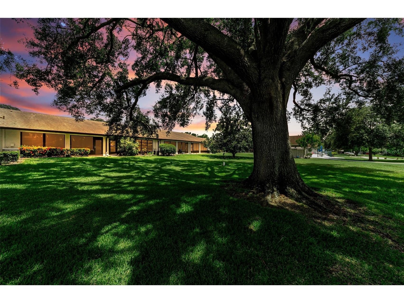 1500 Heather Ridge Boulevard #106 Dunedin FL 34698 TB8532302 image2
